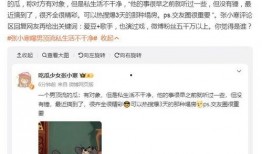 张小寒爆料造谣事件视频,真相与争议的交织