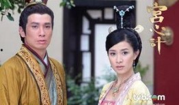 宫心计高清在线观看,权谋与爱恨的宫廷较量