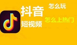 爆料为什么不收录抖音视频,为何抖音视频被意外排除收录之谜