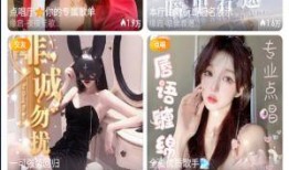 佩鑫直播爆料视频大全集,揭秘视频大全集精彩瞬间