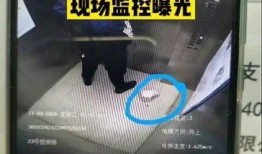 青岛外卖员爆料视频大全,真实生活瞬间大盘点