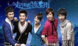 一起来看流星雨在线观看免费,免费在线观看甜蜜爱情故事