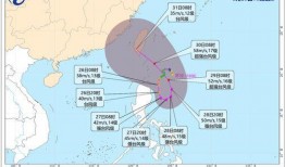 台风苏拉最新爆料消息视频,视频揭秘超强台风来袭前的紧张局势