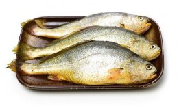 小黄鱼爆料新闻视频,揭秘新闻视频背后的真相