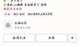 有吃瓜网红的群吗,揭秘神秘群聊背后的故事