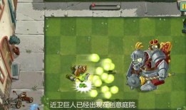 近卫巨人僵尸爆料视频大全,揭秘神秘生物之谜