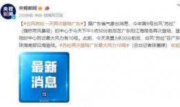 台风苏拉最新爆料消息视频,视频揭秘超强台风来袭前的紧张局势