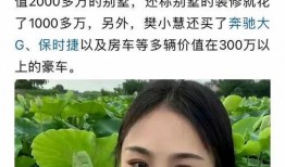 樊小慧最新爆料视频,事件真相再引热议