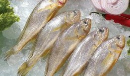 小黄鱼爆料新闻视频,揭秘新闻视频背后的真相