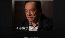 成龙最新捐款爆料事件,真相与争议交织