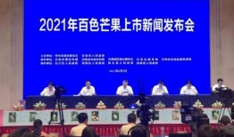 百色弟电视台新闻爆料,揭秘当地热点事件背后真相