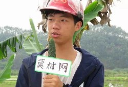 德庆最新爆料新闻联播,新闻联播揭示惊人内幕！