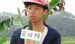 德庆最新爆料新闻联播,新闻联播揭示惊人内幕！