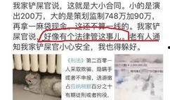 独家爆料逃税案例最新,独家爆料揭示企业避税黑幕