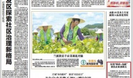 金华爆料今日新闻,最新热点事件追踪