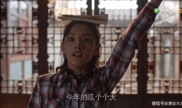 娱乐圈吃瓜侠,揭秘“吃瓜侠”背后的故事