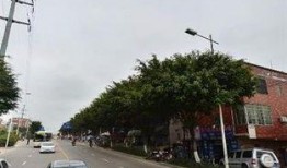 翔安平安医院最新爆料,揭秘医院内部惊人真相！