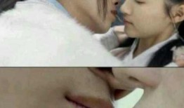 男明星接吻被爆料视频,男星接吻视频意外曝光引发热议