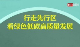 极目新闻被山东爆料,极目新闻引发关注，事件真相待解