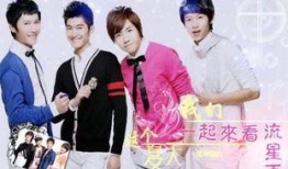 一起来看流星雨在线观看免费,免费在线观看甜蜜爱情故事