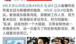 张小寒爆料造谣事件视频,真相与争议的交织