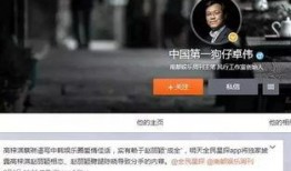 卓伟工作室最新爆料,揭秘娱乐圈惊天秘密