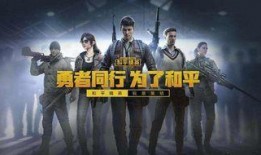 爆料人怀念游戏玩家视频,揭秘怀念游戏玩家背后的感人故事