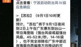 台风苏拉最新爆料消息视频,视频揭秘超强台风来袭前的紧张局势