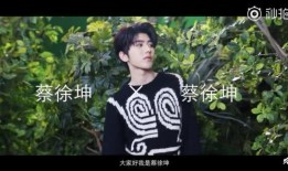 谁爆料蔡徐坤的视频