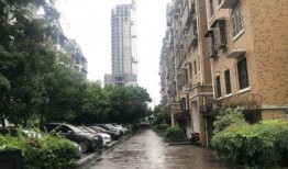 福明家园最新爆料,揭秘神秘项目背后的真相