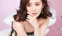 杨幂娱乐爆料,揭秘明星幕后故事与真实生活