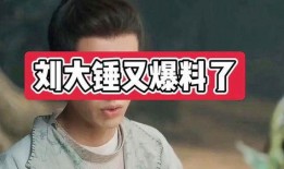 刘大锤最新爆料女方姓郑,揭秘娱乐圈新恋情