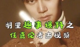小宝爆料任嘉伦视频全集,小宝爆料背后的精彩瞬间