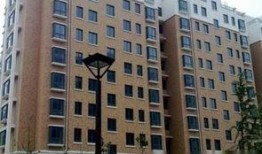 福明家园最新爆料,揭秘神秘项目背后的真相