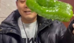 网红吃老汉瓜视频,传统美食新潮流