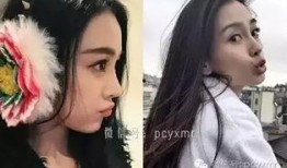 她在娱乐圈吃瓜全文阅读,她背后的故事与真相