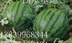 潍坊新瓜最新爆料,揭秘背后惊人真相