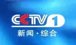 百色弟电视台新闻爆料,揭秘当地热点事件背后真相