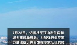 平顶山头条最新爆料,最新爆料事件深度解析