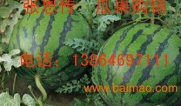 潍坊新瓜最新爆料,揭秘背后惊人真相