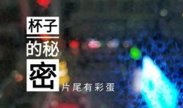 天津饭店爆料视频播放网站,热门内容盘点与幕后故事