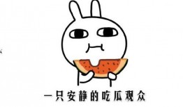 吃瓜事件小网红,揭秘吃瓜小网红的爆红之路