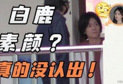 张小寒爆料造谣事件视频,真相与争议的交织