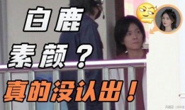 张小寒爆料造谣事件视频,真相与争议的交织