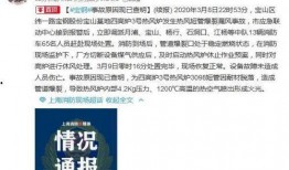 黑龙江药企爆料事件最新,揭露药品安全与监管的隐忧