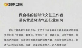 一些关于娱乐圈吃瓜总结,揭秘明星幕后故事与八卦传闻