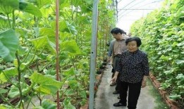 青田网红吃瓜事件是真的吗,真相揭秘还是网络谣言？