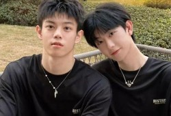 爆料陈律刘聪视频大全集,揭秘背后故事与精彩瞬间