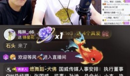 胖哥爆料视频大全最新网站,揭秘热门话题，带你领略网络热点新风向