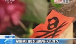 热点爆料新闻直播间,热点爆料新闻背后的真相与争议